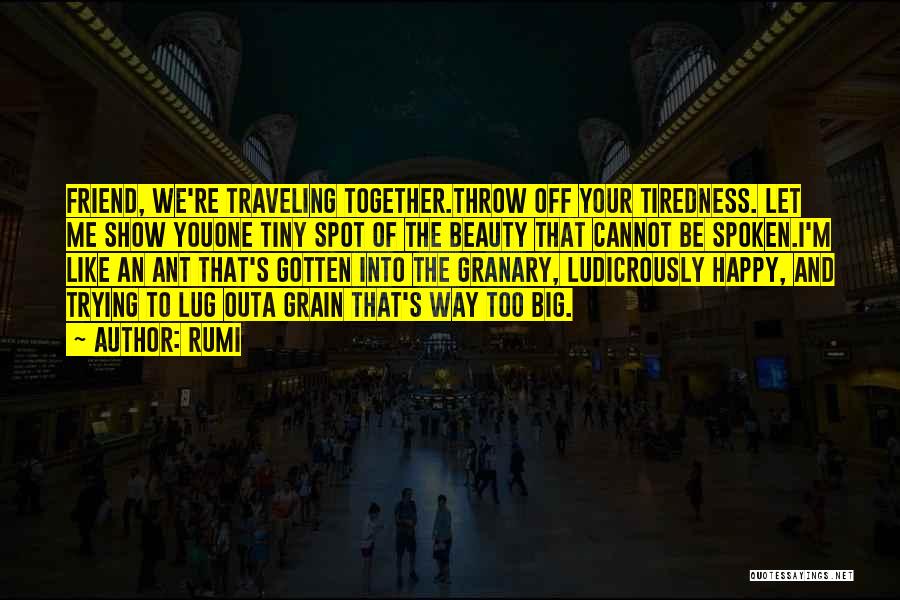 Traveling With Your Best Friend Quotes By Rumi