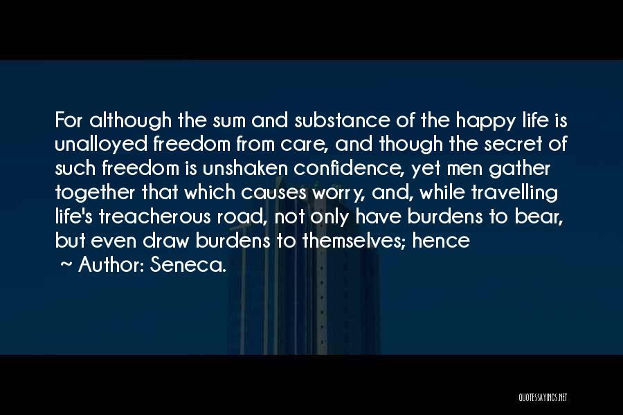 Travelling And Life Quotes By Seneca.