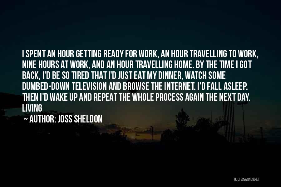 Travelling Back Home Quotes By Joss Sheldon