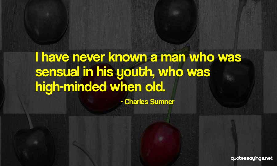 Travelling Couple Quotes By Charles Sumner Travelling Couple Quotes By Charles Sumner
