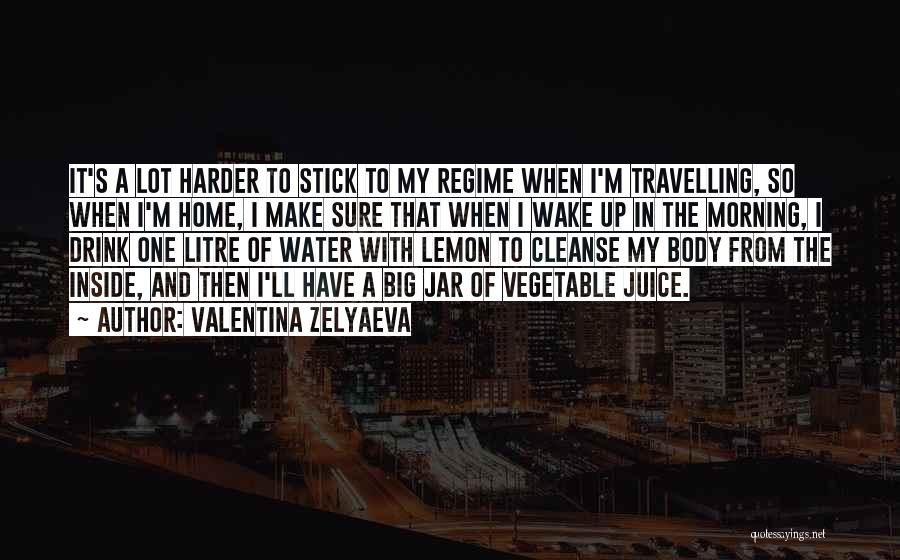Travelling Home Quotes By Valentina Zelyaeva