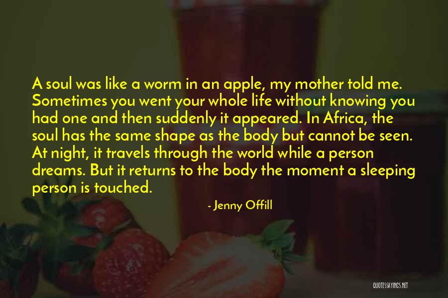 Travels And Life Quotes By Jenny Offill Travels And Life Quotes By Jenny Offill