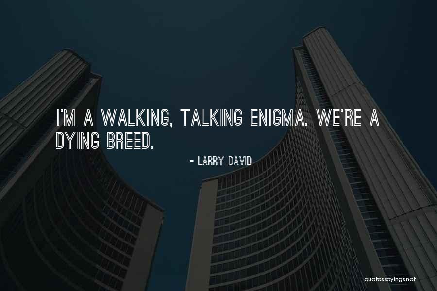 Travelzoo Quotes By Larry David Travelzoo Quotes By Larry David