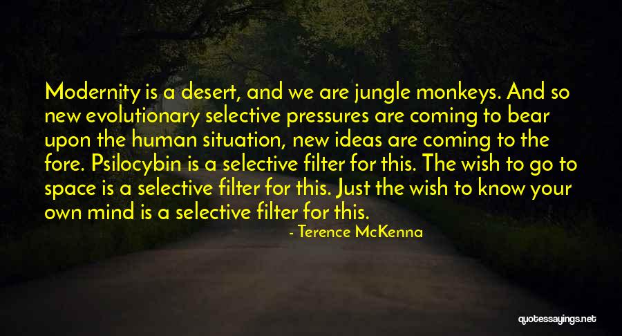 Traversier Quotes By Terence McKenna Traversier Quotes By Terence McKenna