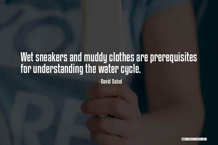 Traversy Youtube Quotes By David Sobel Traversy Youtube Quotes By David Sobel