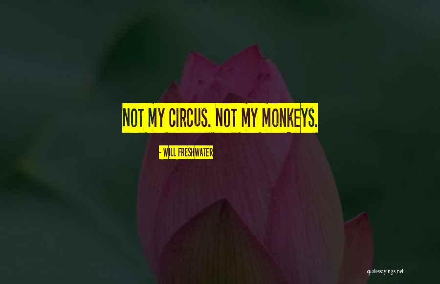 Traversy Youtube Quotes By Will Freshwater Traversy Youtube Quotes By Will Freshwater