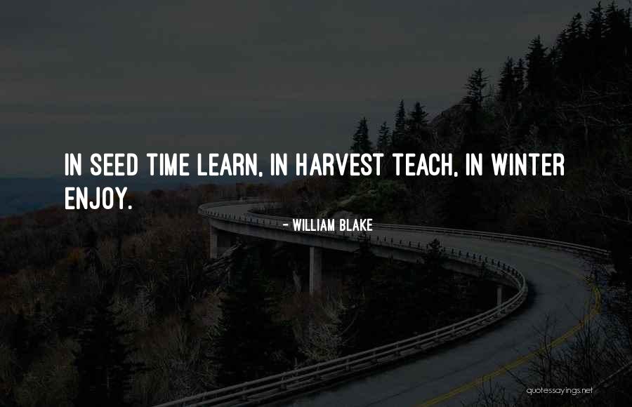Travestito Video Quotes By William Blake Travestito Video Quotes By William Blake