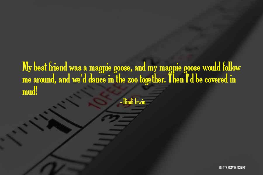 Travoltified Quotes By Bindi Irwin Travoltified Quotes By Bindi Irwin