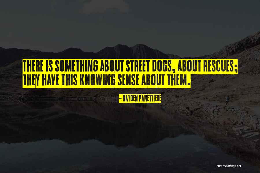 Travoltosa Quotes By Hayden Panettiere Travoltosa Quotes By Hayden Panettiere