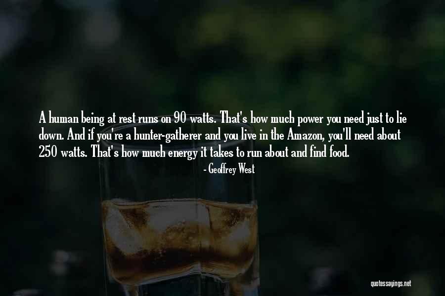 Travomint Quotes By Geoffrey West Travomint Quotes By Geoffrey West