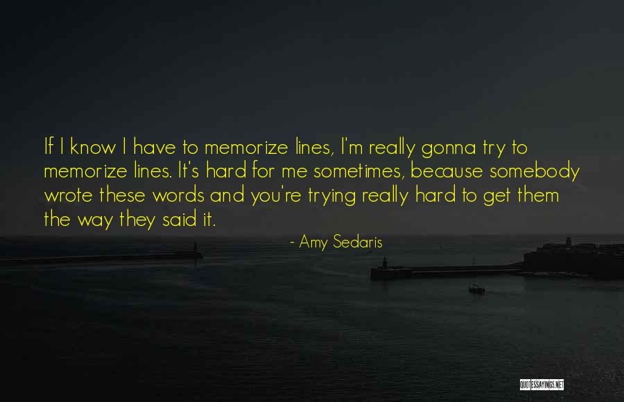 Trazimo Banjalucane Quotes By Amy Sedaris Trazimo Banjalucane Quotes By Amy Sedaris