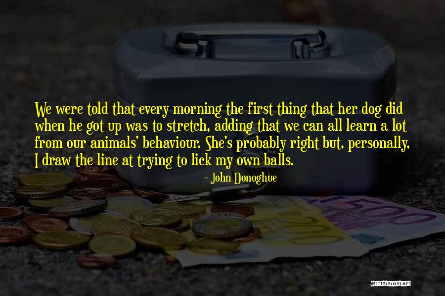 Trbet Quotes By John Donoghue Trbet Quotes By John Donoghue
