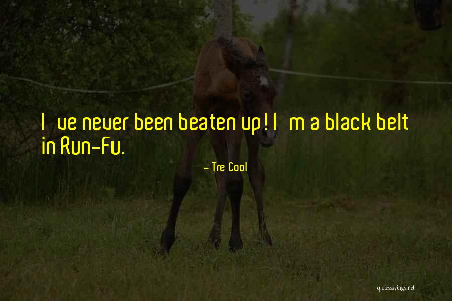 Tre Cool Quotes 1359133 Tre Cool Quotes 1359133