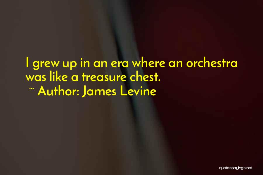 Treasure Chest Quotes By James Levine