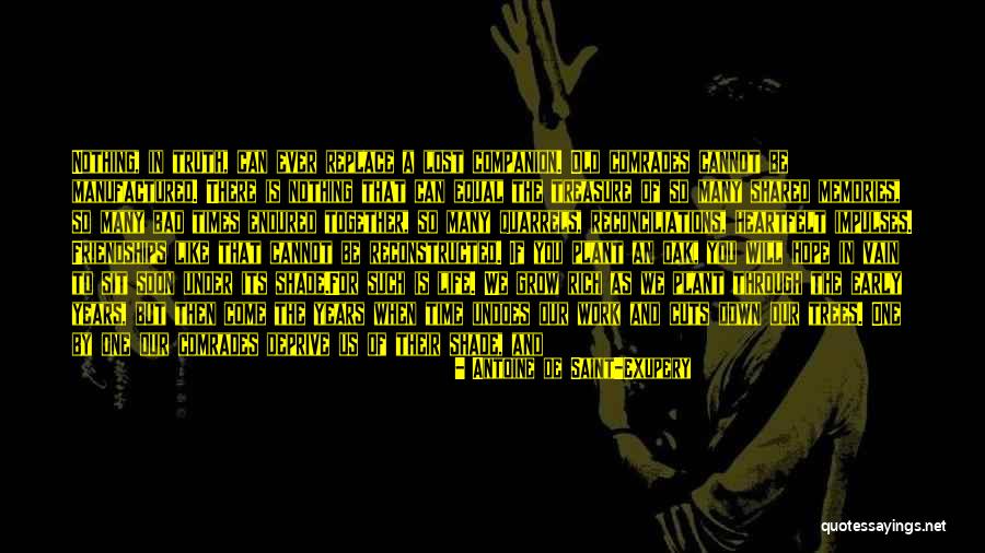 Treasure Of Friendship Quotes By Antoine De Saint-Exupery Treasure Of Friendship Quotes By Antoine De Saint-Exupery