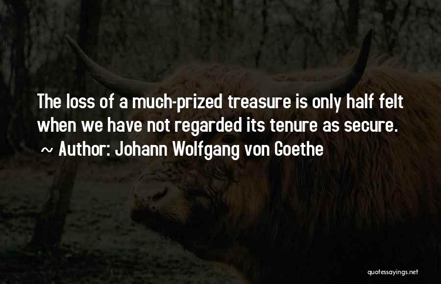 Treasure Things You Have Quotes By Johann Wolfgang Von Goethe