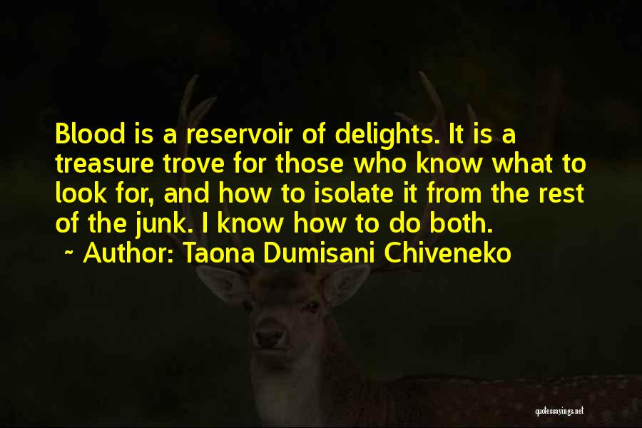 Treasure Trove Quotes By Taona Dumisani Chiveneko