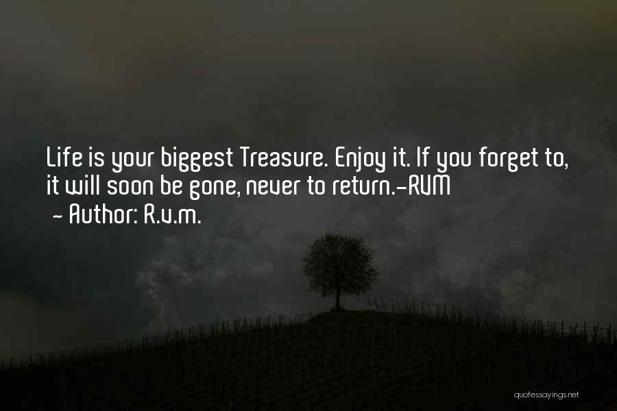 Treasure Your Life Quotes By R.v.m.