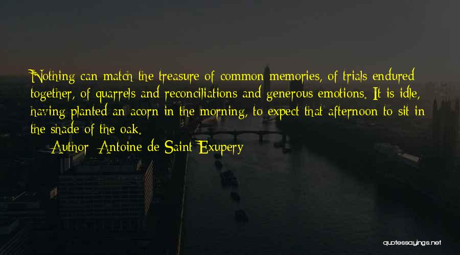 Treasure Your Memories Quotes By Antoine De Saint-Exupery