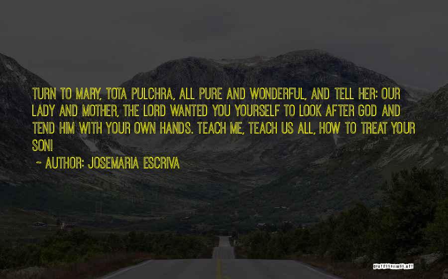 Treat Your Lady Quotes By Josemaria Escriva