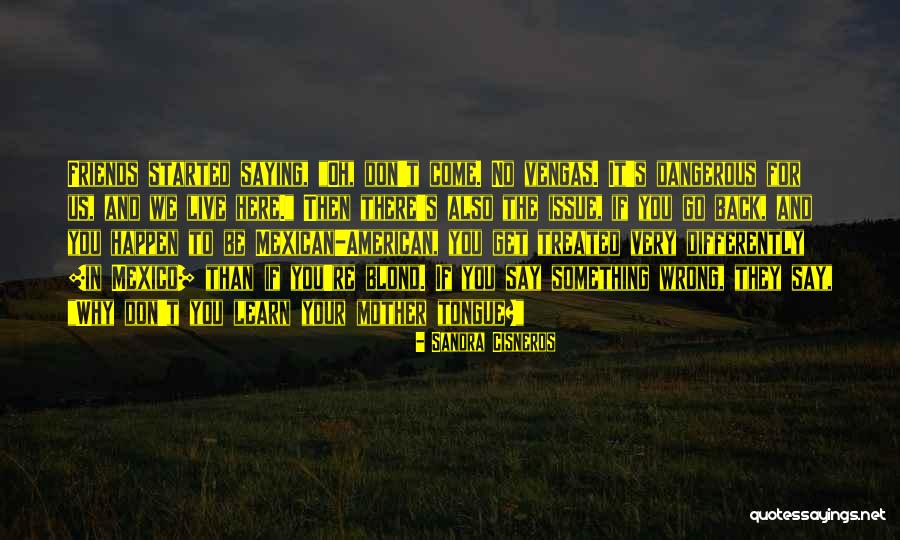 Treated You Wrong Quotes By Sandra Cisneros Treated You Wrong Quotes By Sandra Cisneros