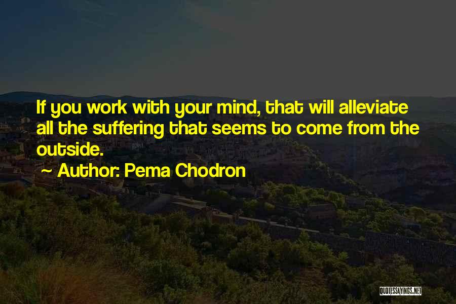 Treating Animals Kindly Quotes By Pema Chodron