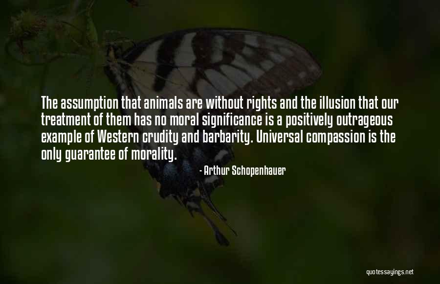 Treatment Of Animals Quotes By Arthur Schopenhauer