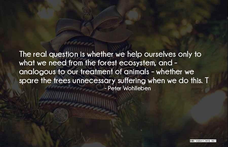 Treatment Of Animals Quotes By Peter Wohlleben