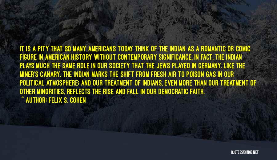Treatment Of Minorities Quotes By Felix S. Cohen