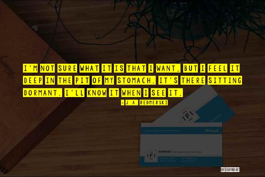 Trecina Grey Quotes By J.A. Redmerski Trecina Grey Quotes By J.A. Redmerski