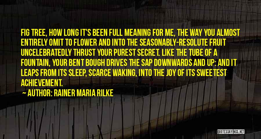 Tree And Flower Quotes By Rainer Maria Rilke