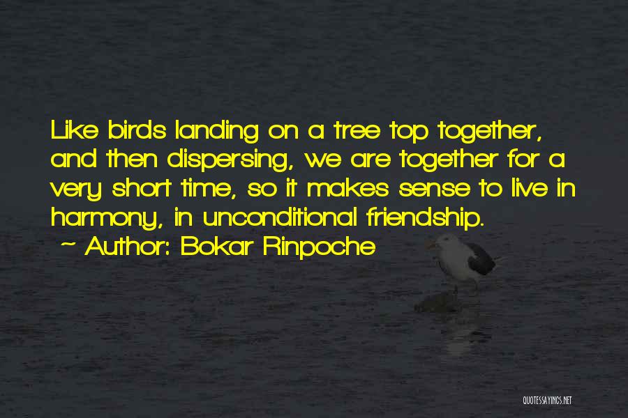 Tree And Friendship Quotes By Bokar Rinpoche