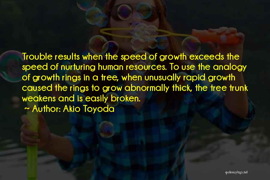 Tree And Growth Quotes By Akio Toyoda