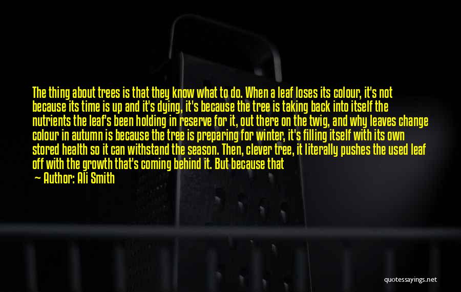 Tree And Growth Quotes By Ali Smith