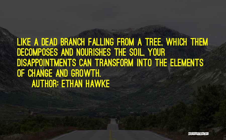 Tree And Growth Quotes By Ethan Hawke