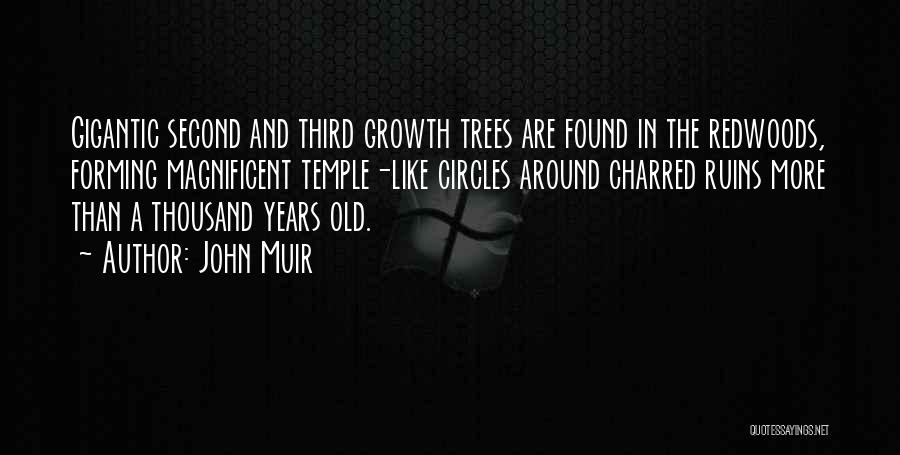 Tree And Growth Quotes By John Muir