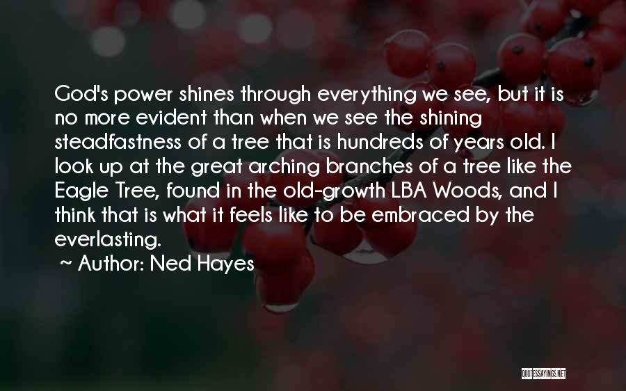 Tree And Growth Quotes By Ned Hayes