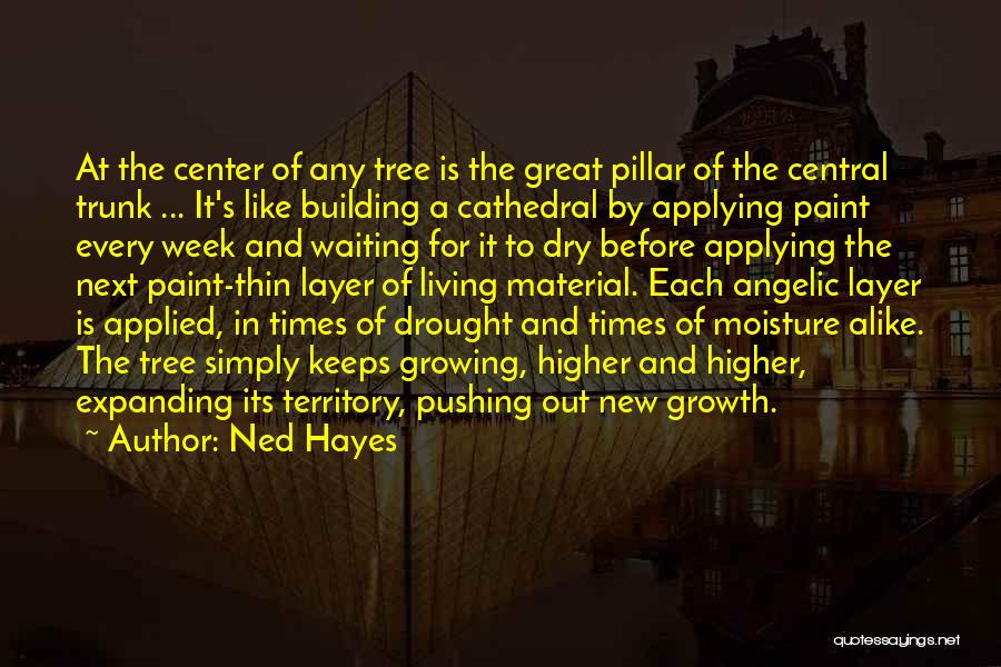 Tree And Growth Quotes By Ned Hayes