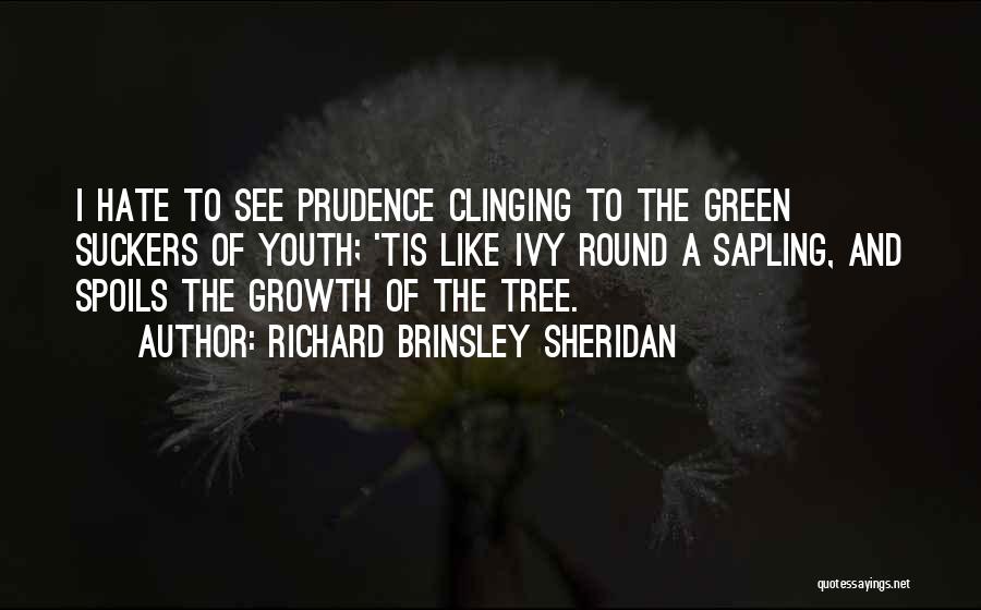 Tree And Growth Quotes By Richard Brinsley Sheridan