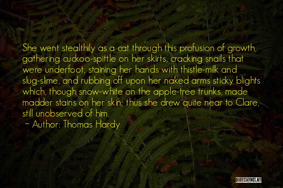 Tree And Growth Quotes By Thomas Hardy