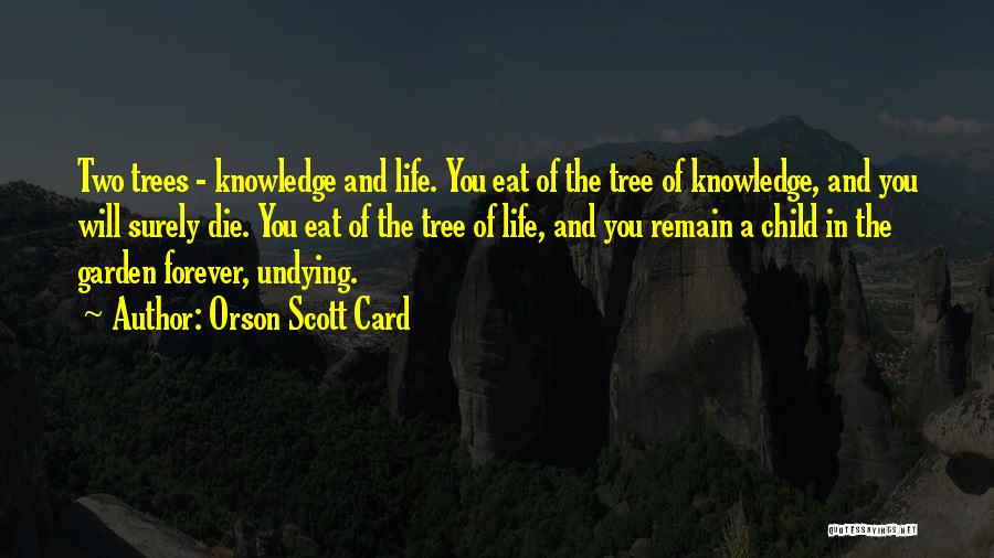 Top 100 Tree And Knowledge Quotes Sayings