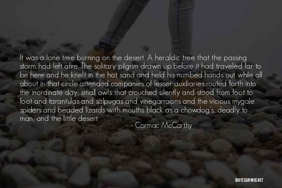 Tree And Man Quotes By Cormac McCarthy Tree And Man Quotes By Cormac McCarthy