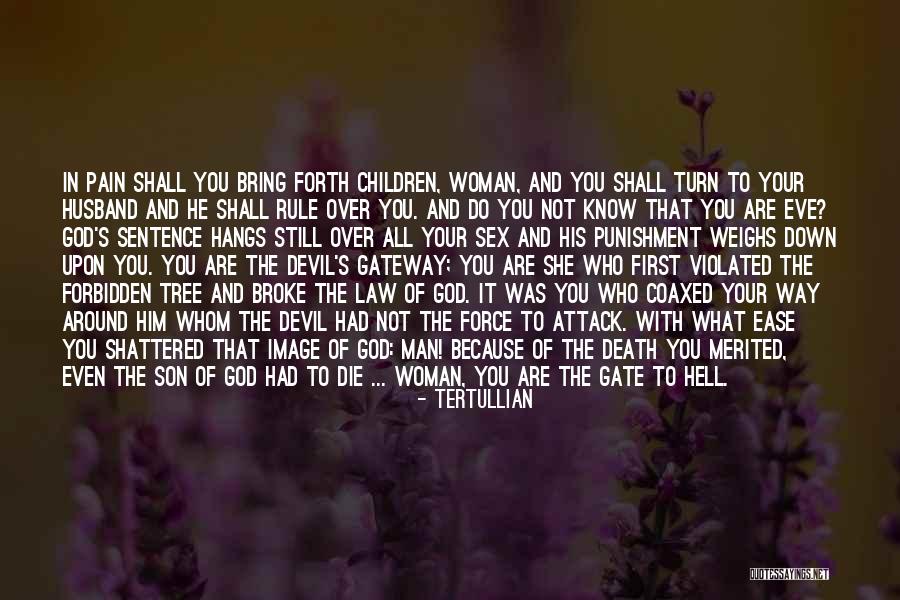 Tree And Man Quotes By Tertullian Tree And Man Quotes By Tertullian