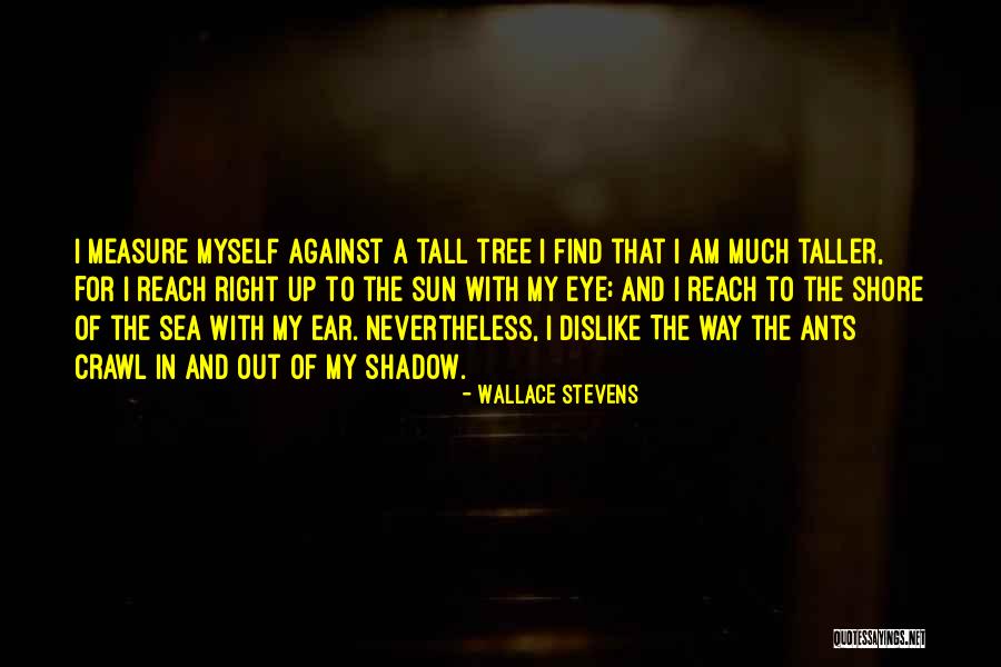 Tree And Shadow Quotes By Wallace Stevens Tree And Shadow Quotes By Wallace Stevens