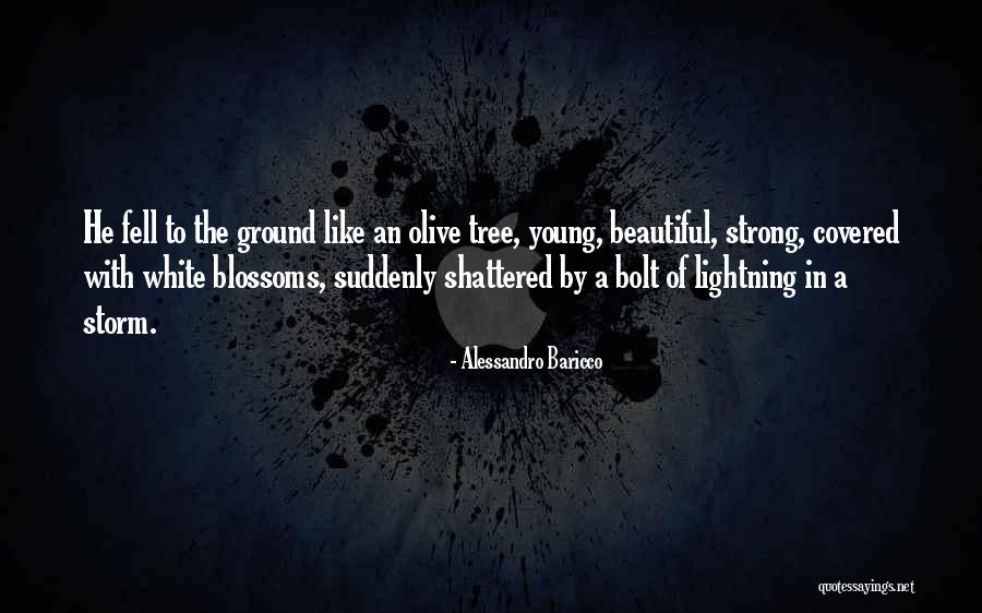 Tree Blossoms Quotes By Alessandro Baricco Tree Blossoms Quotes By Alessandro Baricco