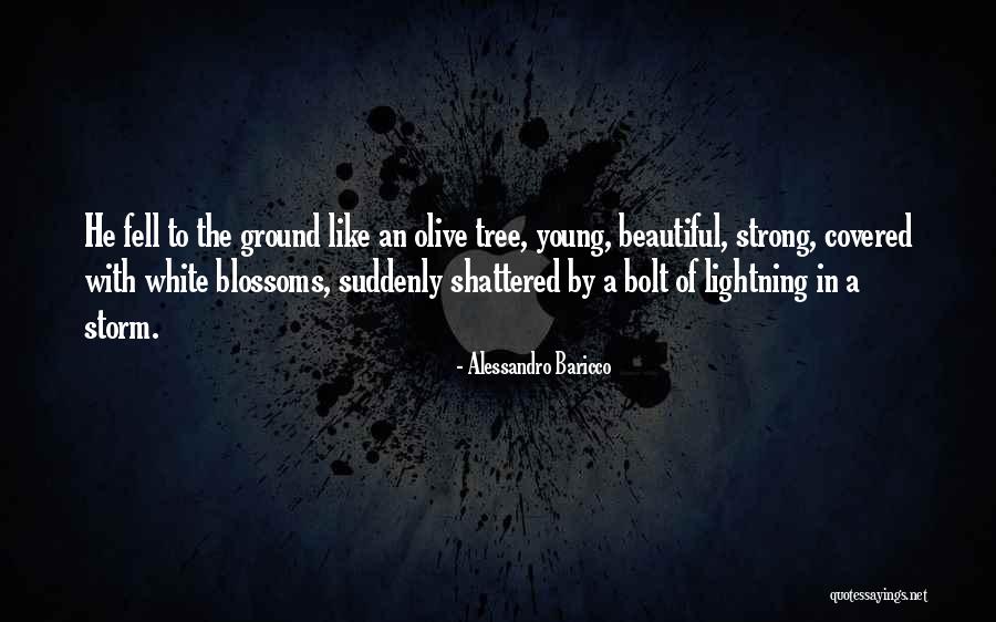 Tree Blossoms Quotes By Alessandro Baricco