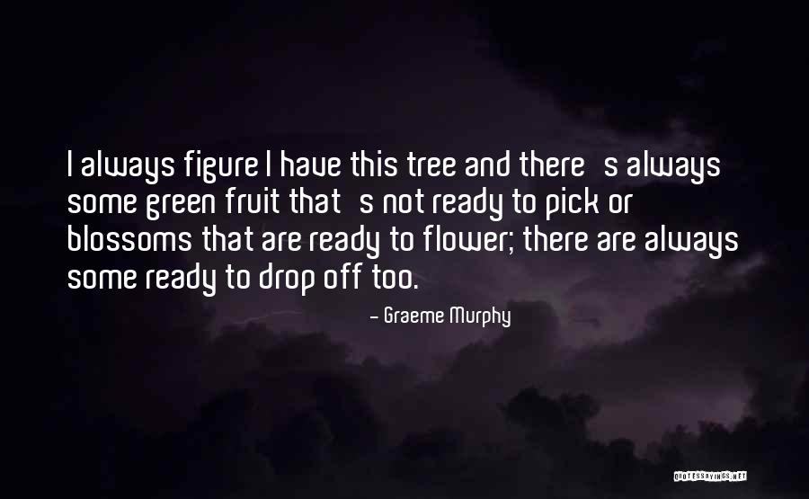 Tree Blossoms Quotes By Graeme Murphy