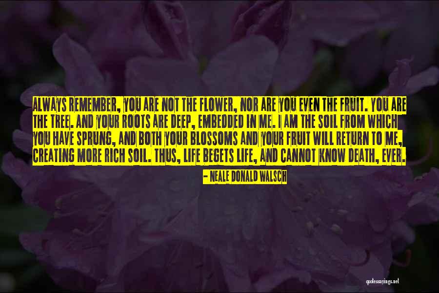 Tree Blossoms Quotes By Neale Donald Walsch Tree Blossoms Quotes By Neale Donald Walsch