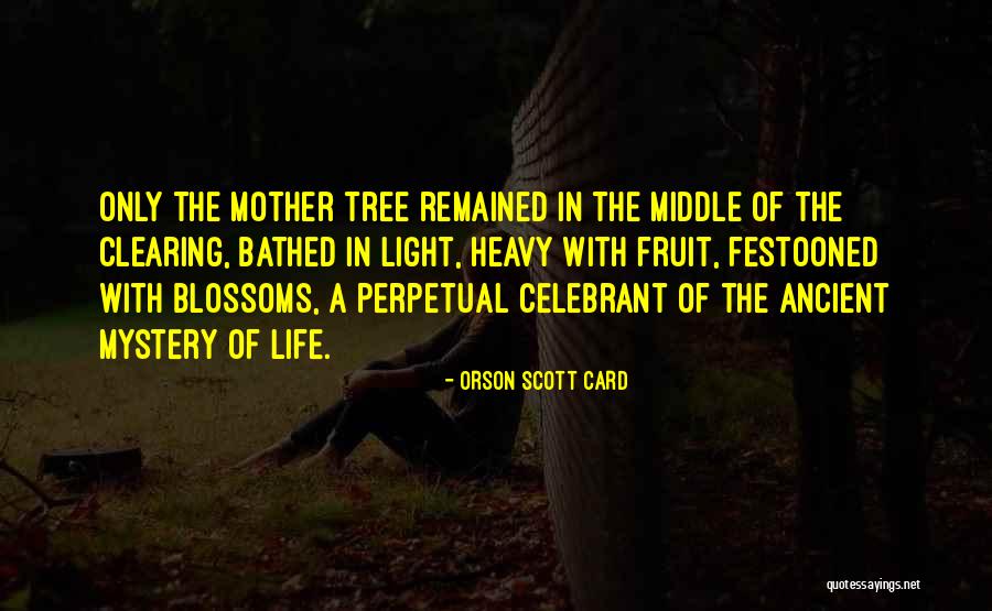 Tree Blossoms Quotes By Orson Scott Card Tree Blossoms Quotes By Orson Scott Card