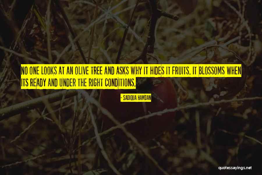 Tree Blossoms Quotes By Sadiqua Hamdan Tree Blossoms Quotes By Sadiqua Hamdan